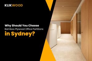 plywood office partitions in Sydney